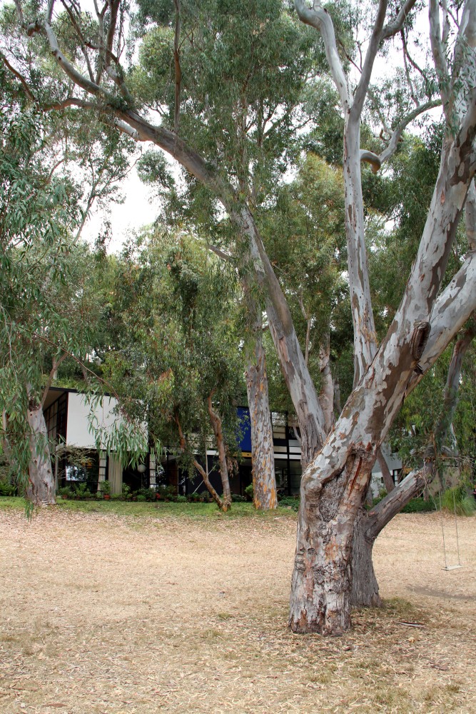 Case Study House #8, Casa Eames