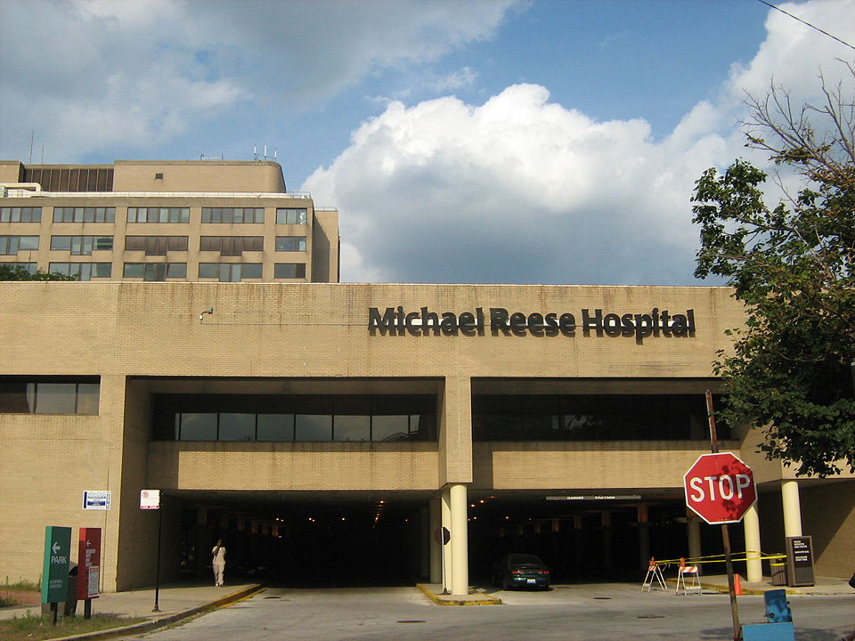 Hospital Michael Reese